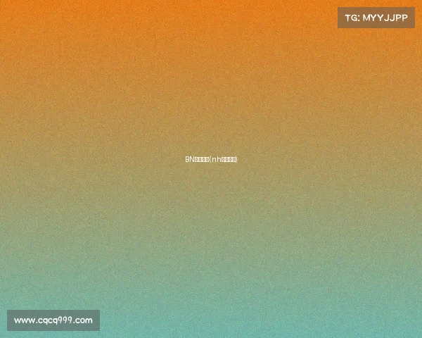 BN电子竞技(nh电子竞技)